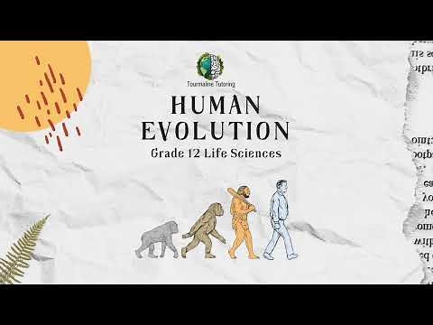 Human Evolution - Grade 12 Life Sciences (Part 1)