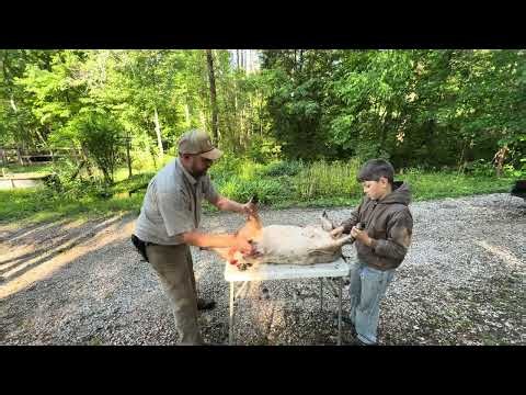 Eli Whitney! Inventor Pt.2!