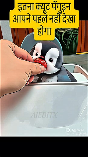 Cute Penguin Baby Feeding 🐧 | Heart Touching Cute Animal Moment#cute #cuteanimals #hearttouching