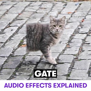 4.1K views · 59 reactions |  Audio effects explained! ⠀ #cats #audioeffects #plugins #musicproduction #music #musicmix #recording #mixing | Avid | Facebook