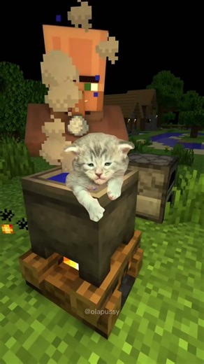 SAVE KITTY #minecraft #kitty