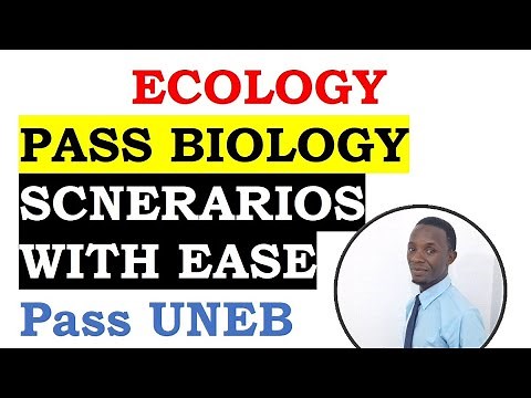 Ecology scenario in biology and it's solution, pass UNEB