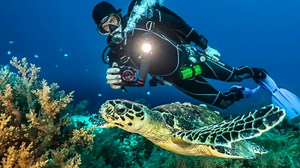 SeaLife ReefMaster RM-4K Underwater Action Camera with 4K Video and 14mp Still Images, Underwater Scene Modes, Wide Angle Lens, Waterproof to 40M/130’