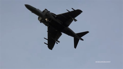 Watch this jet defy gravity in the trees - "How is it not moving?"