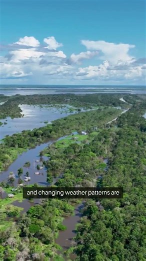 Animals & Climate Change: Species at Risk