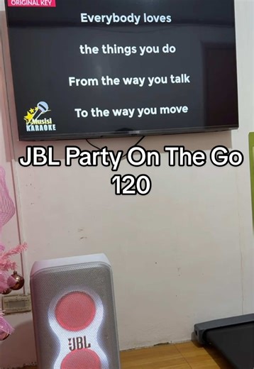 Experience JBL Party On The Go 120's Powerful Sound