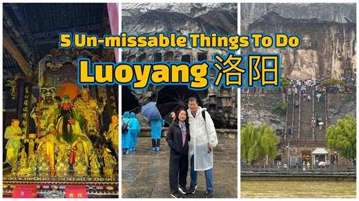 Top things to do in Luoyang | Longmen Grottoes, Guanlin & White Horse Temple