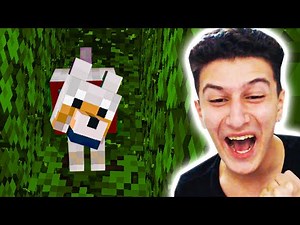 ÇALINAN KÖPEĞİMİ BULDUM 😮 Minecraft 20