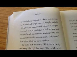 Chapter 1 - Mr Stink