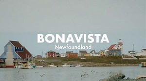 For over 130 years, the Swyers name has been serving the community of Bonavista, Newfoundland. Jim Swyers of JT Swyers Company Limited, is fiercely committed to continuing his family’s legacy as a trusted building materials partner to his customers. Growing up in the service industry has instilled in Jim a strong work ethic and a deep understanding of the importance of putting his customers first. JT Swyers Company Limited goes above and beyond to ensure the best possible solutions and service. 