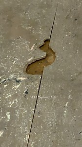 20K views · 789 reactions | This Nearly 50 Year Old R-46 Q Train is Literally Falling Apart… #NYCSubway #NYC #MTA #NewYorkCitySubway #LIRR #SubwayTrain #NYCTransit | NYC Subway Life | Facebook