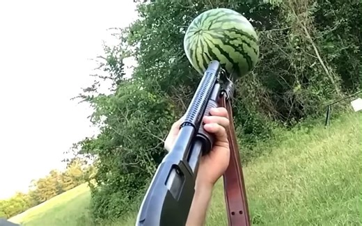 Winchester Model 12 Gauge