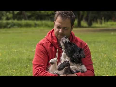 Martin Rütter DOGS - offizieller Imagefilm