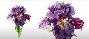 How to Paint Watercolor Details