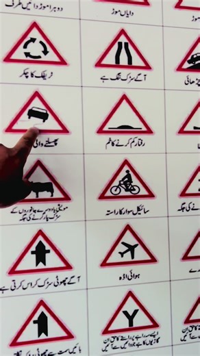 Navigating Roadlines: Insights from Driving School