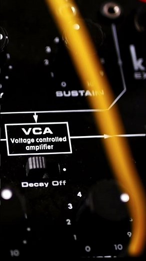 Lurking Sequences with Behringer Kobol Expander | Dark Analog Motion