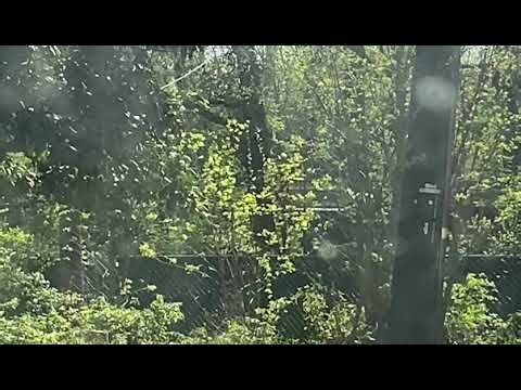 M408 in Rockville, Md on 4/10/26 #railfanning #chessiesystem #csx #chessie 