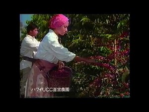 UCC レギュラーコーヒー 懐かCM 1994年8月 上島珈琲株式会社