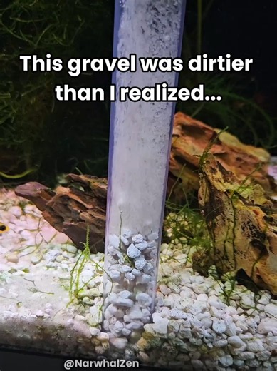 Hygger HG328 Gravel Vacuum Review: Deep Clean Fish Tank Gravel