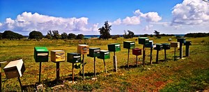 API-Management: Integration mit internen Systemen extrem wichtig