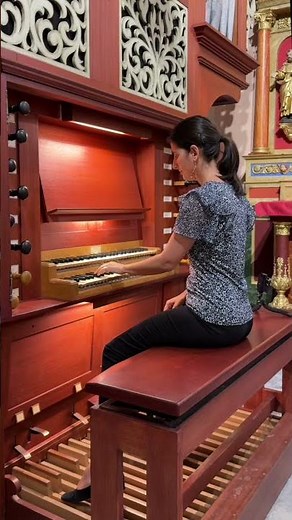 Bach's Toccata: The Most Famous Organ Opening Ever! 🔥 #toccata #pipeorgan