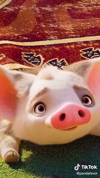 Cute Pig Compilation: Funny and Adorable Pig Videos