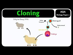 GCSE Biology AQA - Cloning | Plant & Animal Cloning Explained [2026 exams]