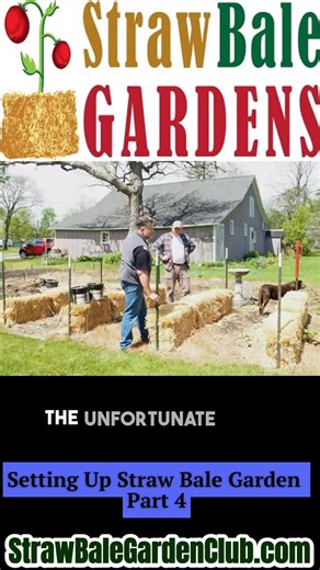 Turn your straw bales into a lush vertical garden! Add a trellis for plants eager to reach the sky. Ready for a bountiful harvest?  | Learn to Grow a Straw Bale Garden | Facebook