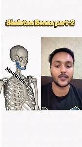 Learn Skeleton Bone Names Fast!#shorts