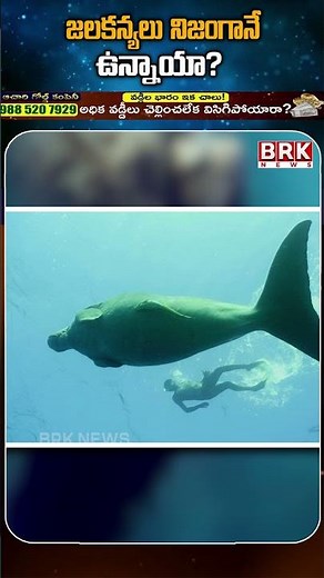 are mermaids real? the mystery behind sea legends||‪@BRKHyderabadd‬