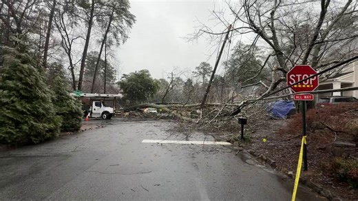 Person injured by an ice-covered fallen tree in northeast Atlanta