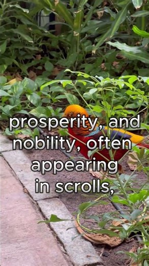 👑🪶 Golden Pheasant Wonders: China’s Bird of Beauty and Luck ✨🐦#NatureShorts #锦鸡 #中国文化 #吉祥之鸟 #锦鸡