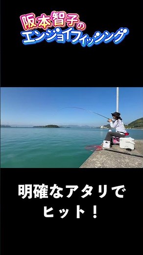 Expect good-sized black porgy in autumn: Let's go! Float dumpling fishing