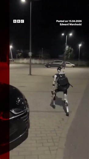 The humanoid robot, known as Edward Warchocki, was filmed chasing boars in Warsaw, Poland. #BBCNews