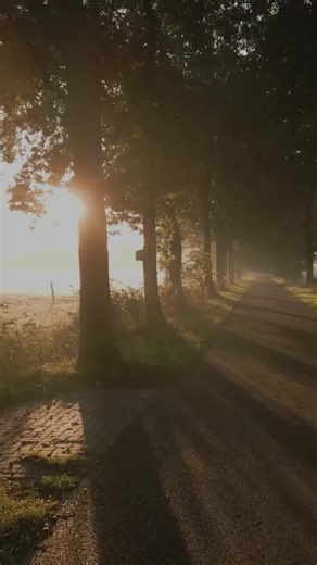 Proverbs 3:5 | Hope with God