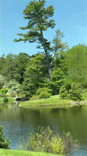Acadia National Park: Stanley Brook Bridge & Asticou Azalea Garden