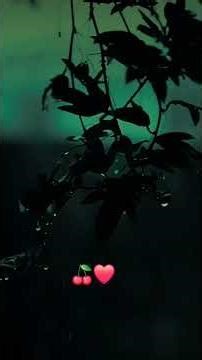 El Poder del Amor 🍒❤️