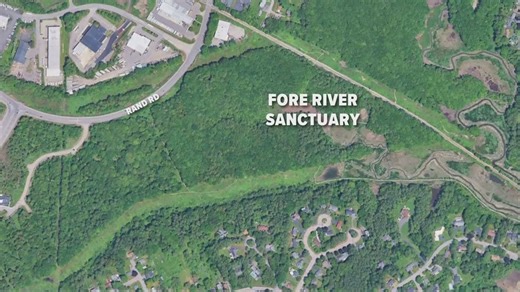 Human remains found in tent at Fore River Sanctuary in Portland