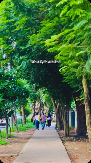 @lily_infocus on Instagram: "📍University Avenue Road, Yangon A place that’s more than just a street-it’s part of history 🏫Named after Yangon University, one of the oldest and most prestigious universities in Myanmar. 🌳Famous for its tree-lined boulevard and peaceful vibes, it’s a favorite for quiet walks and early morning jogs. 🏡Aung San Suu Kyi’s residence is located here - it’s where she spent years under house arrest. 💧Runs alongside the scenic Inya Lak