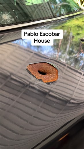 #colombia #fypシ゚viral #viral #tiktok #pablo #tiktokindia #tiktokrussia #escobar #tiktok