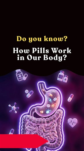 Learn With Tamil Lyrics on Instagram: "Pills dissolve in your stomach, releasing medication into your bloodstream. This blood circulates the active ingredients throughout your body. They eventually find and bind to specific target cells—functioning like a key in a lock—to trigger a chemical change that blocks pain or fights infection. #pills #medicine #health #infovideo"