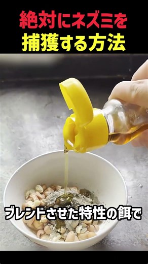 絶対にネズミを捕獲する方法 1