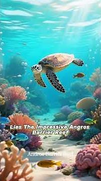 🌊 The World’s Greatest Coral Reefs #CoralReefs #RedSea #OceanLife #MarineLife #UnderwaterWorld 🐠