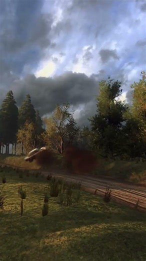 dirt rally 2.0 120km/h crash