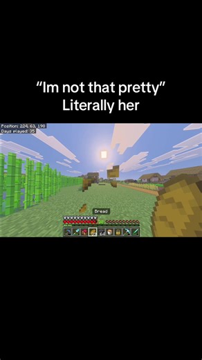 Understanding the Trend: Emotions in Minecraft Gaming