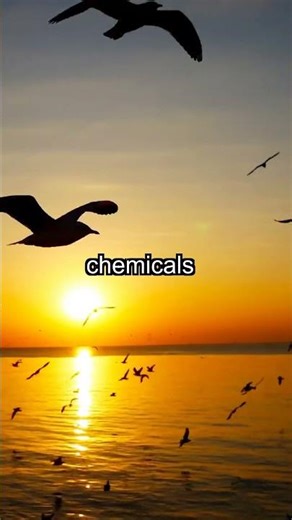 Alien Life Thrives: Discover Earth's Hidden Ocean Vents