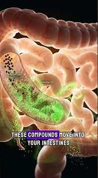 What Happens Inside Your Body When You Swallow Papaya Seeds? #humanbody #papayaseeds #digestion