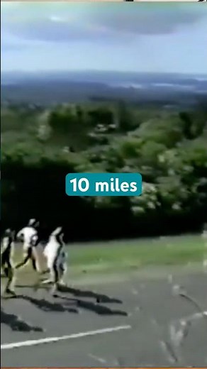 Lydiard Sub Threshold Runs