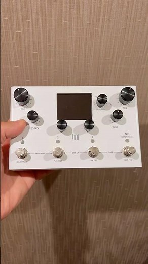 Some insight on the Meris LVX Delay Pedal #merislvx