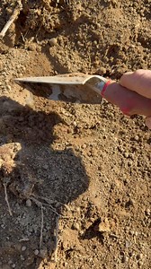 28K views · 135 reactions | Almost don’t count in this business!! | Final Step Trapping | Facebook